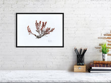 Load image into Gallery viewer, 7544579-2386002