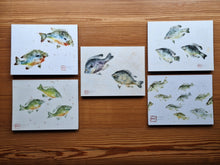Load image into Gallery viewer, Fine Art Note Card Set | Studio-Assembled 10-Pack