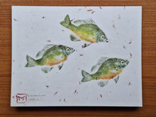 Load image into Gallery viewer, Fine Art Note Card Set | Studio-Assembled 10-Pack