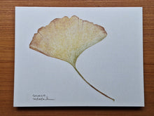 Load image into Gallery viewer, Fine Art Note Card Set | Studio-Assembled 10-Pack