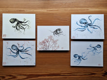 Load image into Gallery viewer, Fine Art Note Card Set | Studio-Assembled 10-Pack