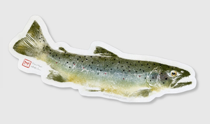 Brown Trout Decal