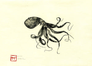 Small Octopus on Okawara 1 – The Mighty Bluegill
