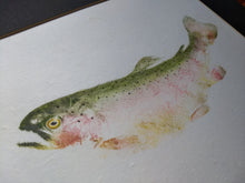 Load image into Gallery viewer, Goodman Rainbow trout original gyotaku. 16x20