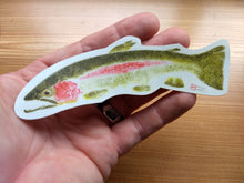Load image into Gallery viewer, Rainbow Trout Decal
