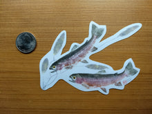 Load image into Gallery viewer, Rainbow Trout and Pondweed Decal