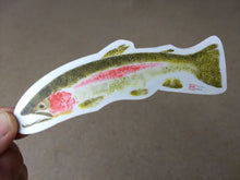 Load image into Gallery viewer, Rainbow Trout Decal