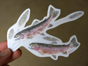 Rainbow Trout and Pondweed Decal