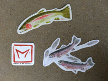 Load image into Gallery viewer, Rainbow Trout and Pondweed Decal