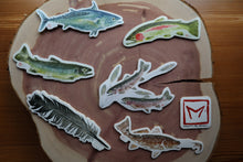 Load image into Gallery viewer, Set of 7 Weatherproof Fish and Feather Decals