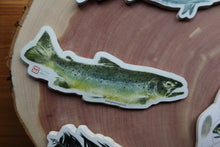 Load image into Gallery viewer, Brown Trout Decal
