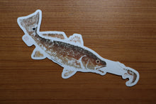 Load image into Gallery viewer, Redfish (Red Drum) and Shrimp Decal